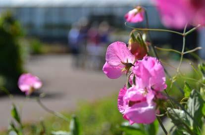 Välkommen till Kumla stadspark En