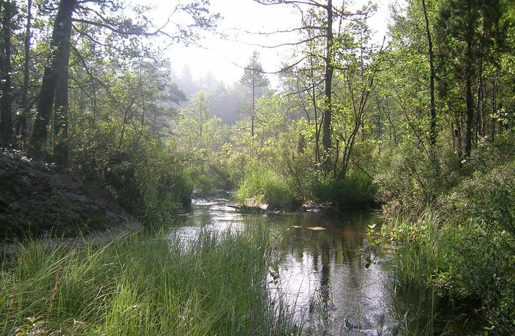 Samtal om