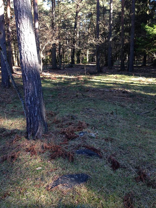 I den norra delen noterades en stensamling precis i skogskanten som vetter mot åkern. Fler stenar upptäcktes i närheten liggande i en gles rad i närmast öst-västlig riktning.