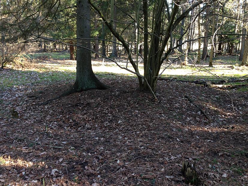Mellan dessa två stensträngar påträffades resterna av en kolmila. Kolbottnen ligger i plan terräng och beväxt med hassel och en gran.