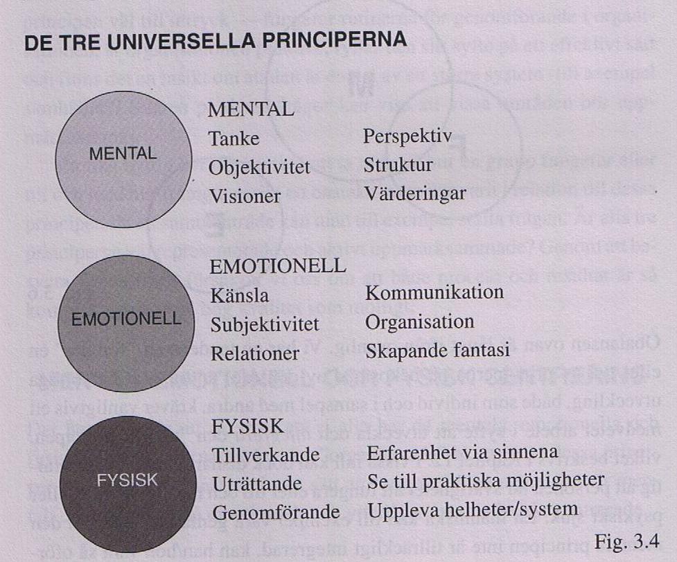 4 TEORI Jag börjar med att skriva om teorin bakom Human Dynamics. Human Dynamics beskrivs mera ingående eftersom att arbetet i huvudsak behandlar teorin och den är mindre känd.