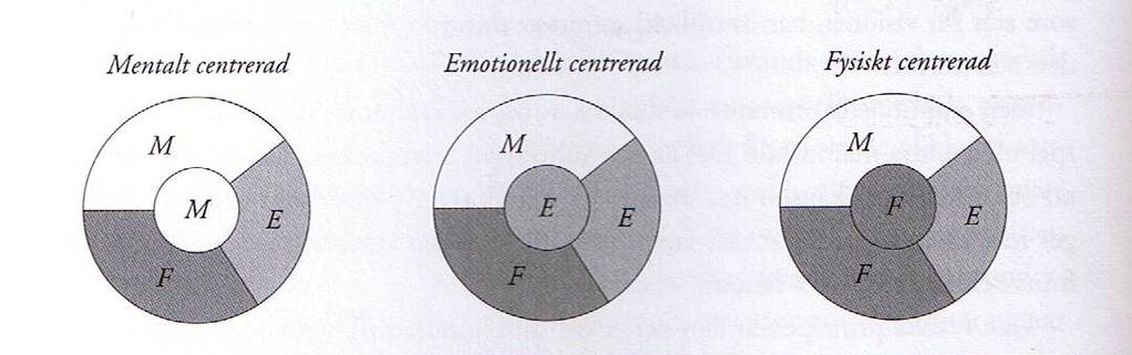 I fortsättningen kommer jag att använda termerna mental, emotionell och fysisk och då är det de tre principernas egenskaper som belyses.