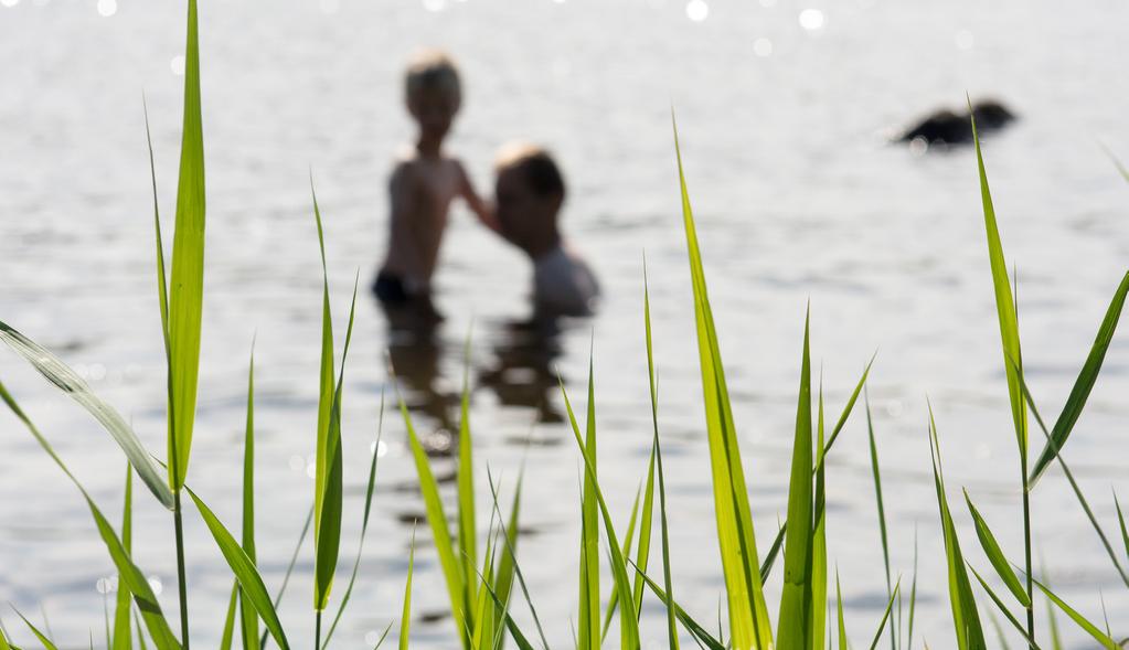 Arbeta för att utveckla bättre och mer tillförlitliga kvalitetsindikatorer för uppföljning av insatser inom folkhälsoområdet.