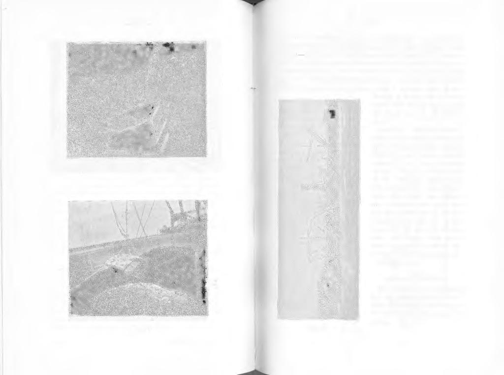 Fig. III. -444- -445- Ett framträdande drag i sammanhang med Sicurins apparater är, att skoporna taga asten under fc11 tygets däck, (Fig.