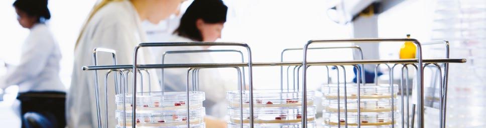 Innehåll Allt under kontroll 4 Bönderna lägger grunden Hälsostyrning och överblick över grisarnas hälsa 6 Nära samarbete mellan bonden och veterinären 8 Friska grisar med minsta möjliga antibiotika