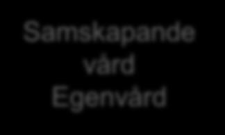Modell personcentrerad vård
