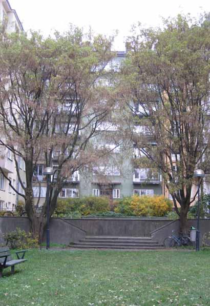 4. JAKTVARVSGÅRDEN