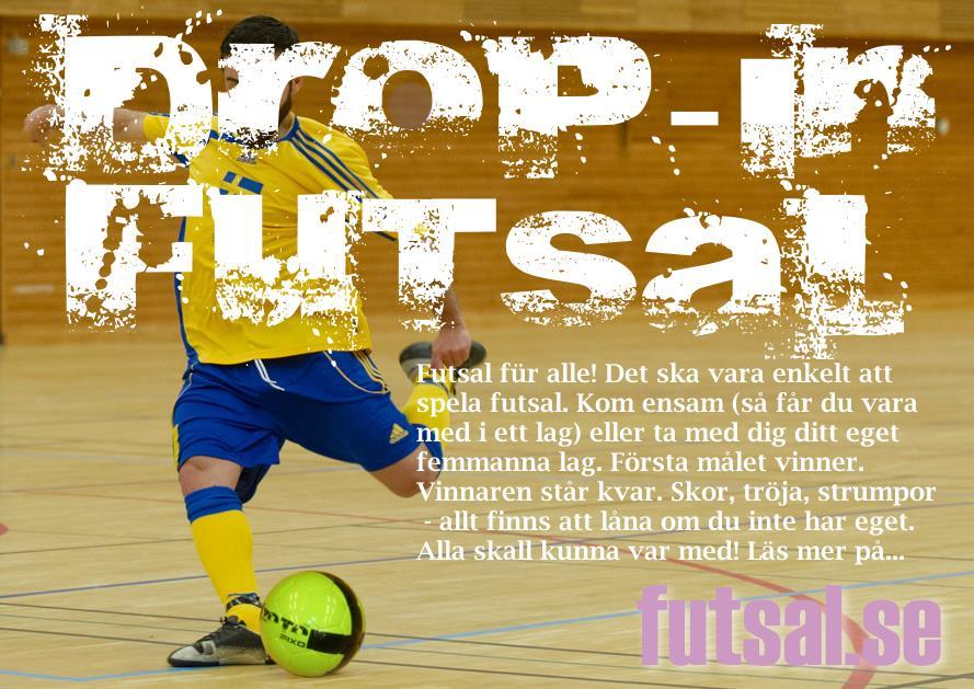 Projektredovisning