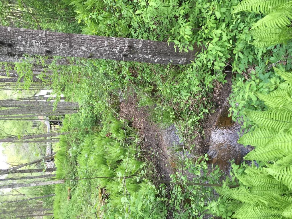 Höga värden i form av Naturlig fåra och