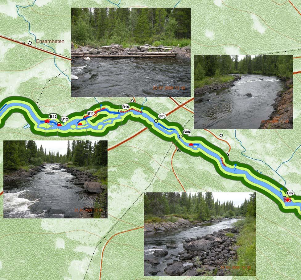 Avdelning B06 7213457/1504356-7213524/1504186 Avdelningen är en kort sträcka av främst forsande och strömmande partier.