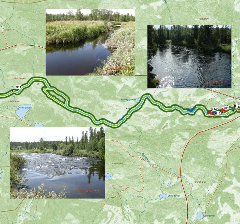 Avdelning B13 Karta 8. Översikt över avdelningen B13 i Marsån.