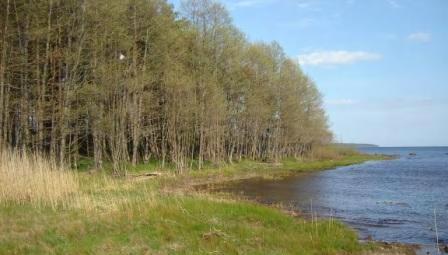 21 Figur 3.6 Landföringens placering i Portovajabukten Den ryska kustnära sektorn ligger i ett område som kan utsättas för isslitage, och därför kommer rörledningen att grävas ner.