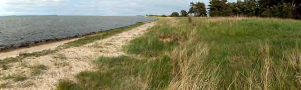 återetableras. Rörgraven kommer att återfyllas både av schaktmaskiner från land, med hjälp av den schaktade jorden och vallmaterialet, och av pontonbaserade schaktmaskiner till havs.