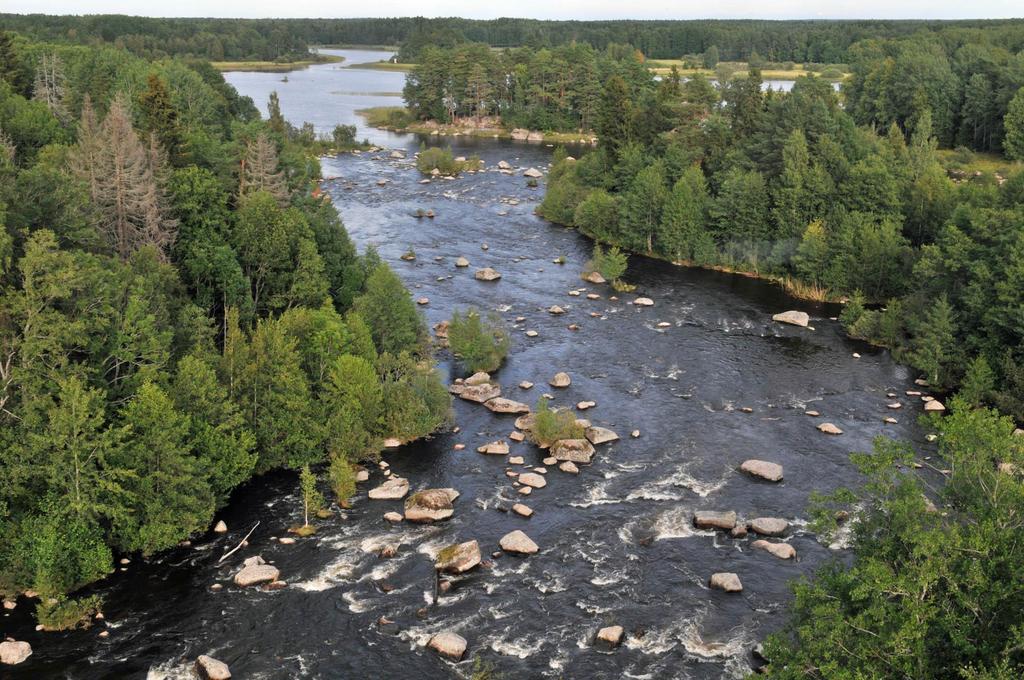 Bredforsen Storblockig,