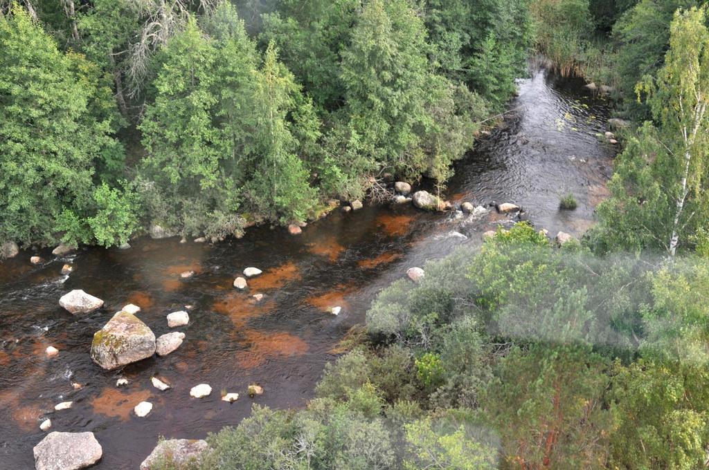 Återskapat lek-bottnar