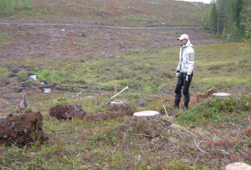 Rapport 2015:1 ARKEOLOGI Järnbacken Fördjupad arkeologisk inventering vid Järnbacken,
