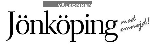 Diagnos Strategier och Mål, Idealbild Steg 4: Handlingsprogram Steg 1: Definiera Centrum Tid 24 25 En stad utan visioner har ingen framtid!