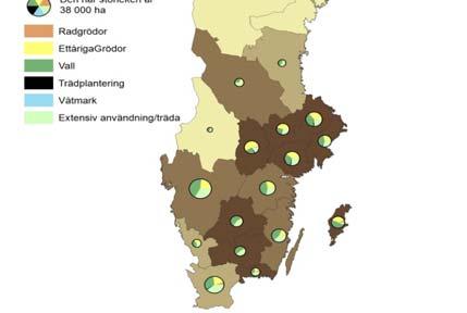 Blekinge Kärrtorv, gyttja Norrlandslänen - Kärrtorv (starrtorv) 7 Skördedata från Kvismardalen, Örebro Skördeutveckling i potatis Odlingsintensiteten är i allmänhet lägre på de organogena jordarna än