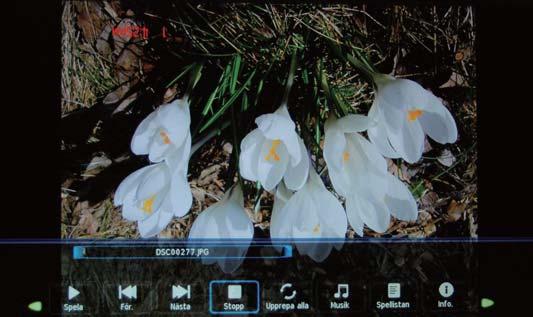 Använda multimedia Använda multimedia 1. Foto Fotovisning Tryck på / för att välja alternativ i tabellen och tryck på OK för att ändra.