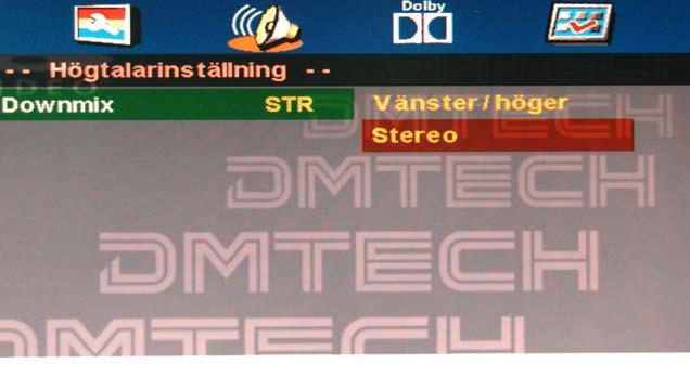 DVD-FUNKTION DVD-FUNKTION Nermixning V/H Om skivan har flera ljudspår kommer signalen att gå ut på