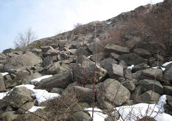 Silt (mellanjord) Den provtagna siltens vattenkvot ligger på 13-14 % i punkt 14 och 17, men är i punkt 9 så blöt på 3-4 meters djup att provet rinner av skruven.
