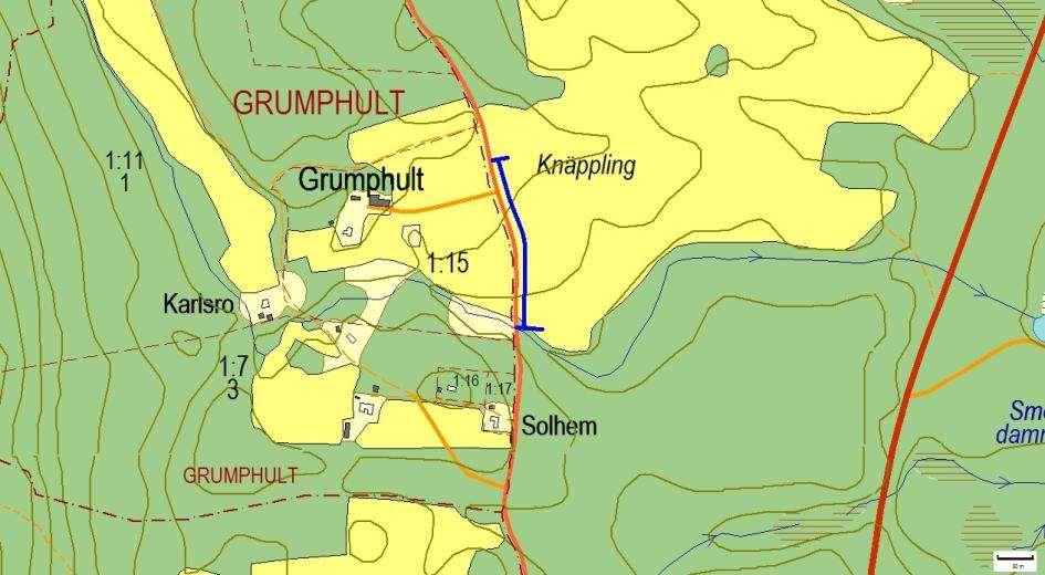 Artrika vägkanter 2916, Grumphult, GRUMPHULT Motivering: Insektsintressant vägkant med hävdgynnade arter.