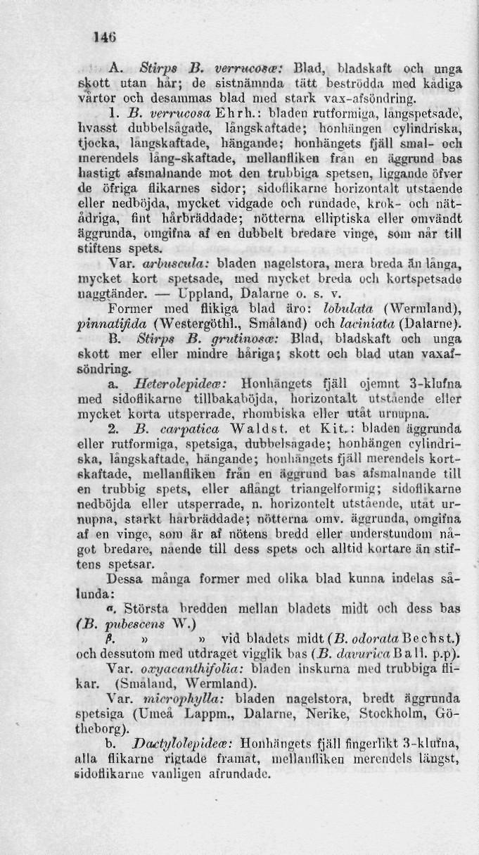 UG A. Stirpe B. verrmoea: Blad, bladskaft och unga skott utan har; de sistnämnda tätt beströdda med kådiga vårtor och desammas blad med stark vax-afsöndrrag. 1. B. verrucosa Ehrh.