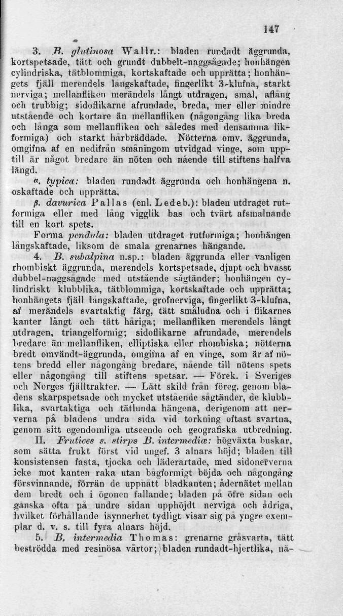 147 3; B. glutinosa Wallr.
