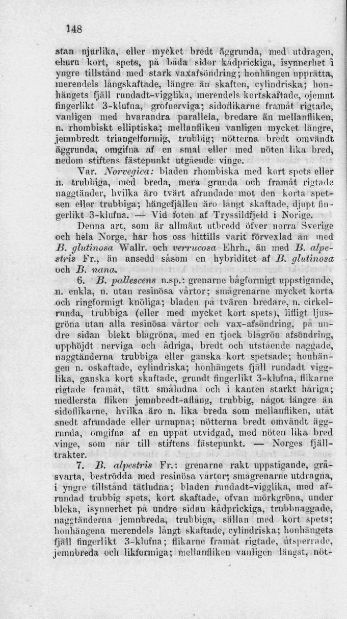 148 stan njurlikn, eller mycket bredt äggrunda, med utdragen, ehuru kort, spets, pä bada sidor kadprickisia, isynnerhet i yngre tillstand med stark vaxafsöndring; honhängen nppiitta, merendels