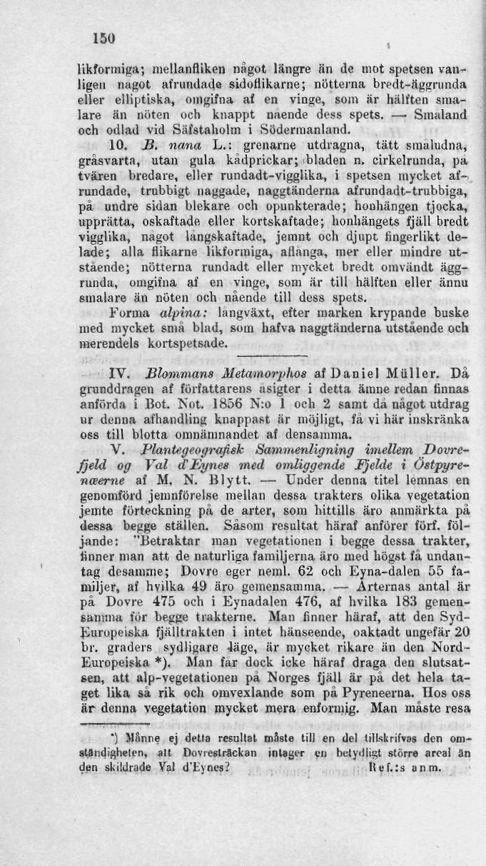 150 i likformiga; niellanftiken något längre än de mot spetsen van~ ligen något afrundade sidoflikarne; nötterna bredt-äggrunda eller elliptiska, omgifna af en vinge, som är hälften smalare än nöten