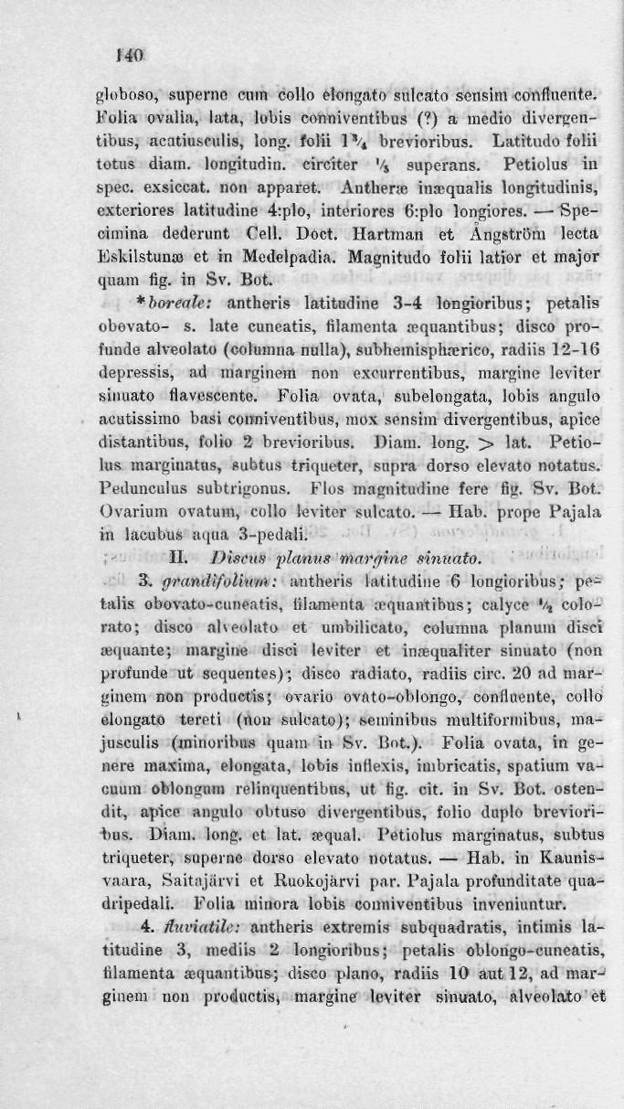 140 globoso, superne eum collo elongato sulcato sensim confluente. Folia ovalia, lata, lobis conniventibus (?) a incdio divorgentibus, acatiuseulis, long. folii \\ brevioribus.