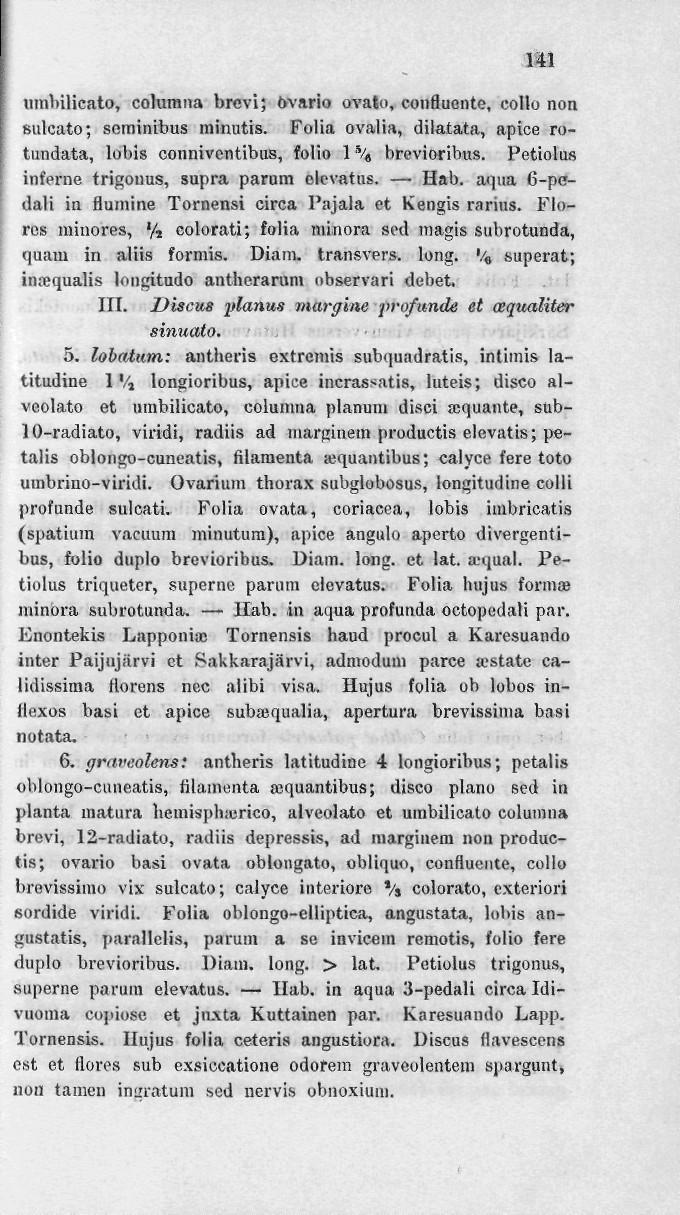 141 iunlulicato, colurana brcvi; bvario ovato, confluente, collo non sulcato; seminibus minutis. Folia ovalia, dilatata, apice rotundata, lobis connivcntibus, folio 1 % brevioribus.