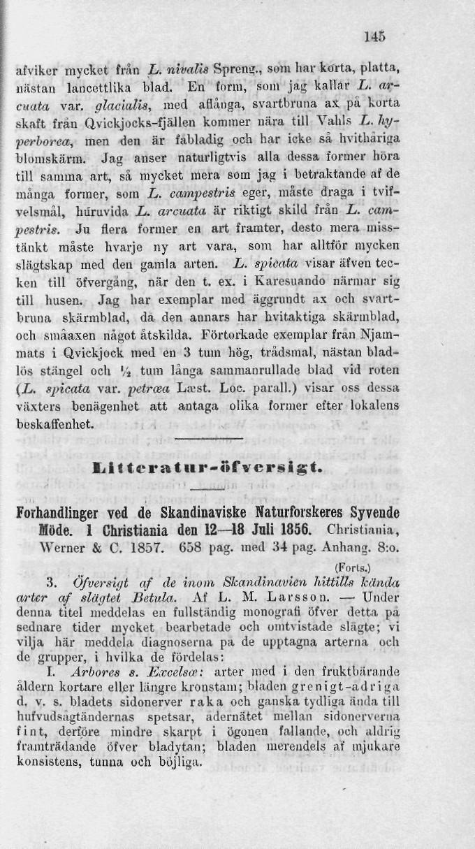 145 afviker mycket från L. nivalis Sprcng., som har korta, platta, nästan lancettlika blad. En form, som jag kallar L. arcuata var.