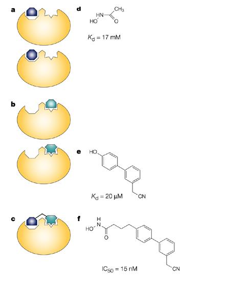 SAR-by-NMR Identifiera två ligander som binder till intill-liggande sites på proteinet,