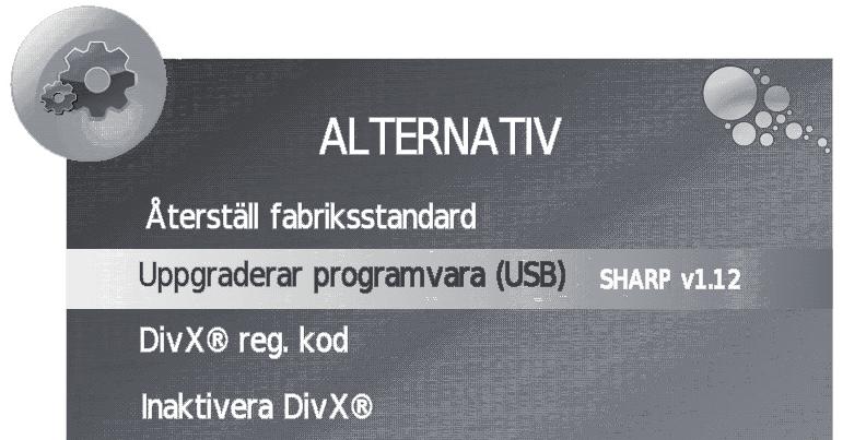 : Undertexterna kommer inte att visas på skärmen när tjänsten inte innehåller text information.