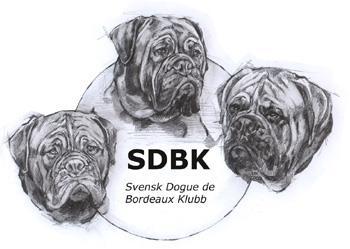 Författare (Klubb) SDBK/SBHK RASdokument avseende Version Status