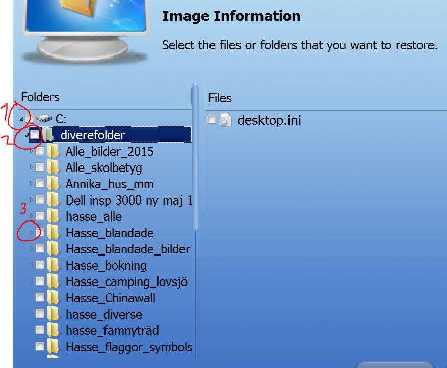 Bild 12 Nu visas vilka filer som ingår i foldern.