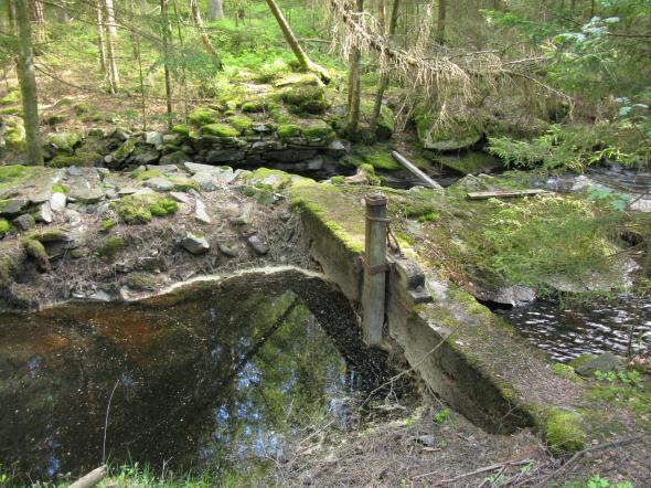 långgrunda stranden. På de långgrunda stränderna växer ovanligare vattenväxter som dysäv. Figur 22. Härsjön nära utloppet till Gärån.