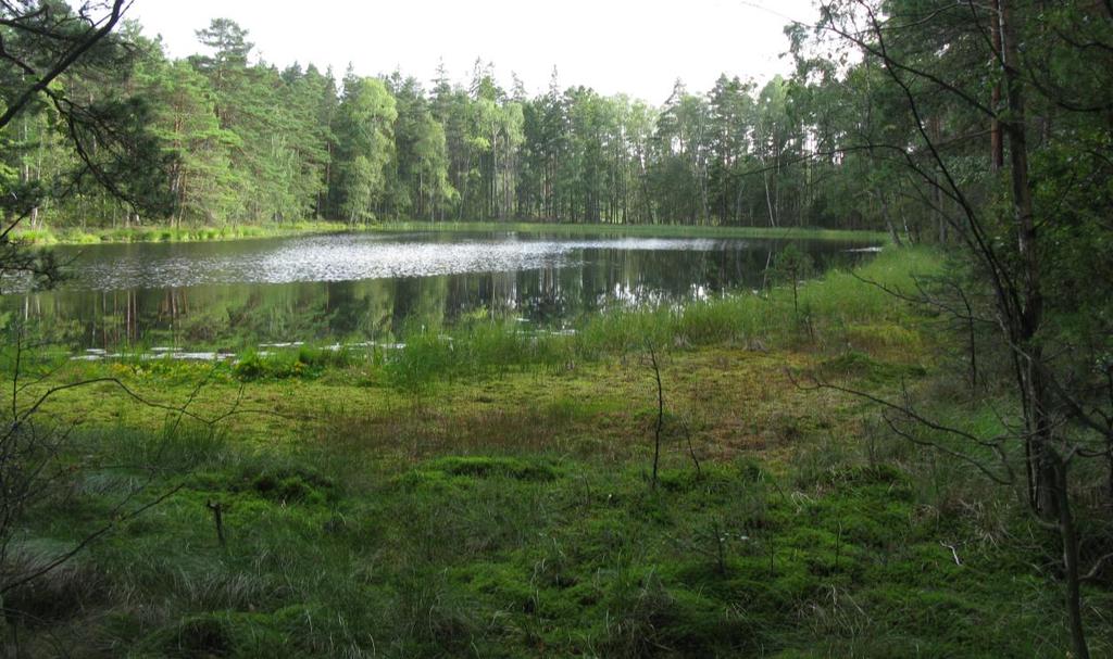 Lokal 9. Stora Äggsjön Stora Äggsjön är en tjärn som avvattnas via en bäck som mynnar i Gärån. Vid stränderna växer främst gul näckros, flassktarr och vitmossa.