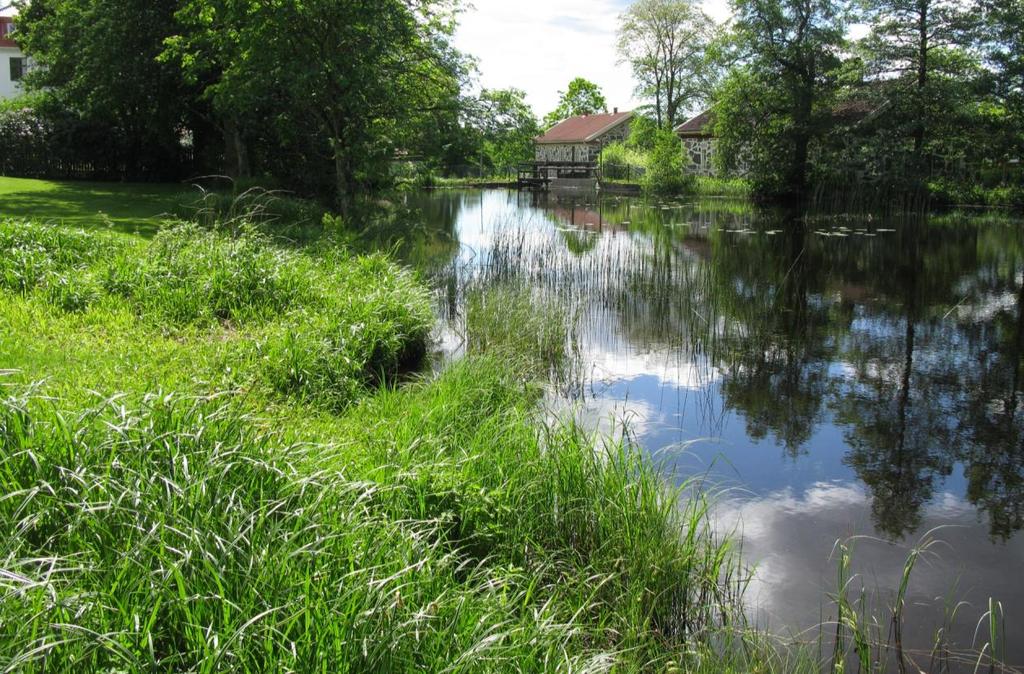 Lokal 1. Dammen vid skolan Vid Strömma finns en större damm som även ses på kartan från 1890. Dammen har långgrunda stränder med en del våtmarksväxter.