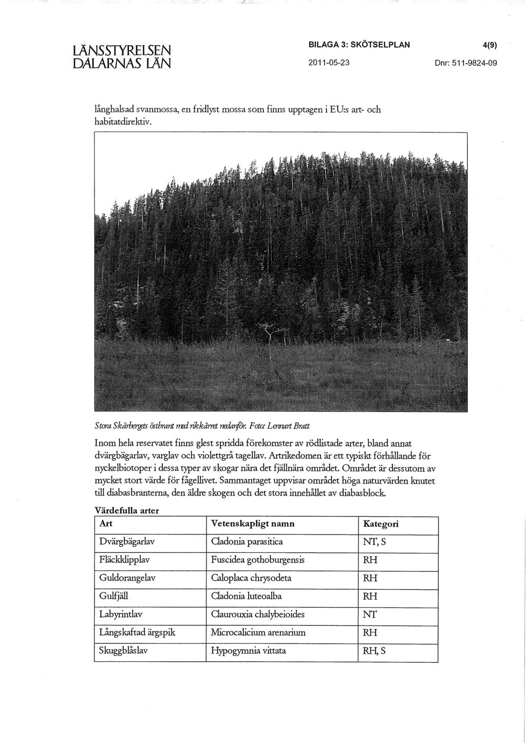 DALARNÄS LÄN BILAGA 3: SKOTSELPLAN 4(9) 2011-05-23 Dnr: 511-9824-09 långhalsad svanmossa, en fridlyst mossa som finns upptagen i EU:s art- och habitatdirektiv.