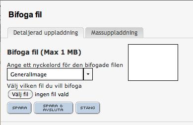 2010-04-16 Sid 11 17. Klicka på knappen Bifoga ny fil som du hittar längst ner på sidan. Ett nytt fönster kommer fram. 18. Skriv in ett eget nyckelord för den bifogade bilden.