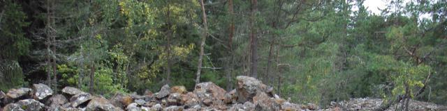 8 Riskbedömning 8.