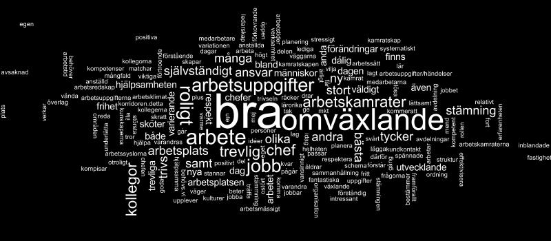 Ordmoln Medarbetarnas egna ord om det bästa med deras arbetsplats Genom att ta fram ett ordmoln av de mest förekommande orden i svaren till den öppna frågan "beskriv med egna ord det bästa med din