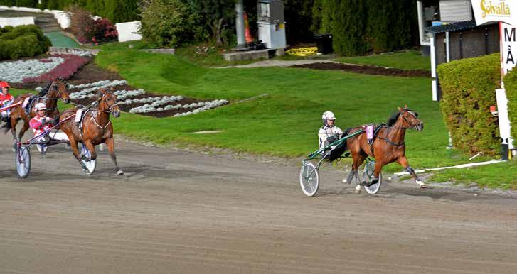 NYHETER 131003 Magnus och Old Faithful bäst på Solvalla Old Faithful och Magnus Jakobsson länsar undan till en lätt seger.