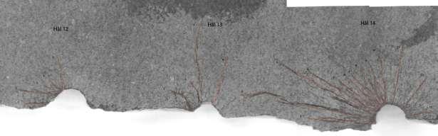 Hål 12-13 har få sprickor medan hål 14 har ett mer typiskt sprickmönster från cord, dvs. många fina sprickor nära hålet.