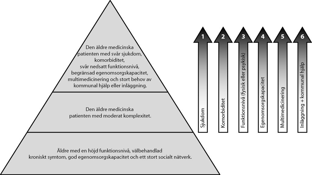 Äldre individers hälsorelaterade behov