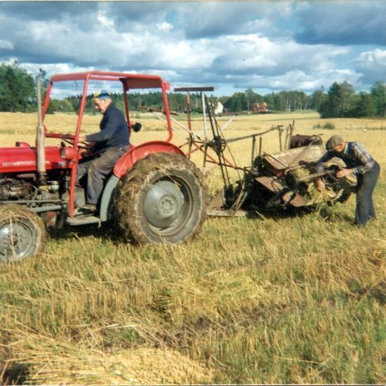 Havreskörd med självbindare på gården Kopperud nr 10, Torpet, Bror Erlandsson