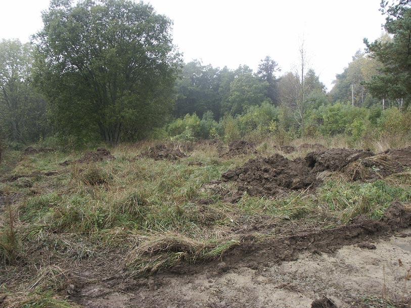 Fig. 9. Vy över område C. Foto: Jörgen Streiffert.