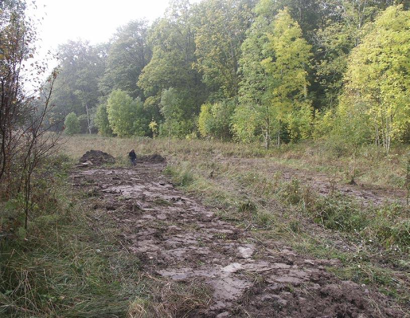 Den forntida strandkanten väster om